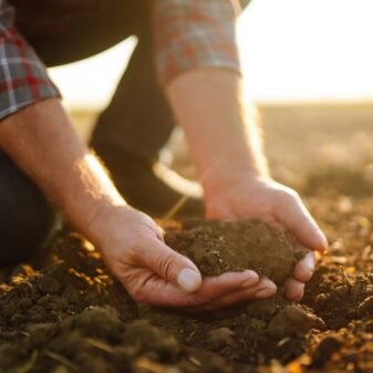Expert,Hand,Of,Farmer,Checking,Soil,Health,Before,Growth,A